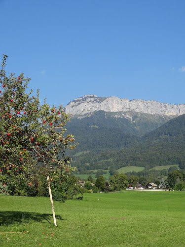 photo Alain Piscioneri Sarl Villaz