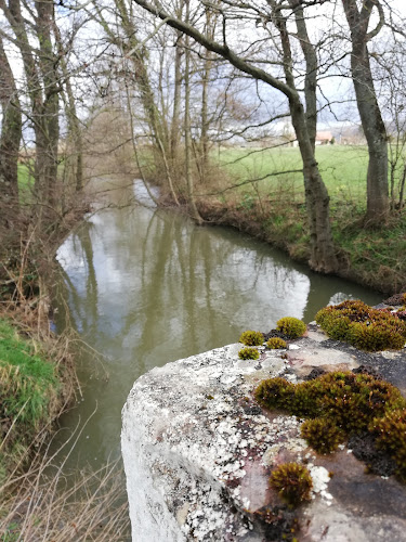 photo Dominique Dupasquier Nanton